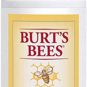 Burt's Bees Skin Nourishment Gentle Foaming Cleanser 12/4.8fo